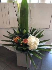 Tropical Hand tied