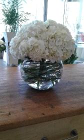 Hydrangea vase