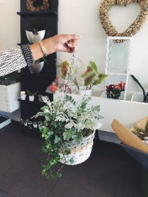 Hanging baskets