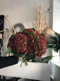 Hydrangea Bouquets