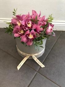 Orchid Arrangements